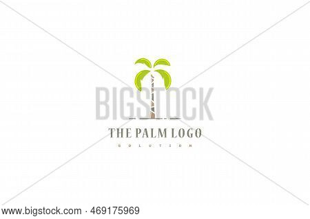 Template Logo Design Solution With Palm Image