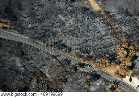 Road Passing Through A Burned Forest. Nature Disaster Forest Fire. Cyprus Europe