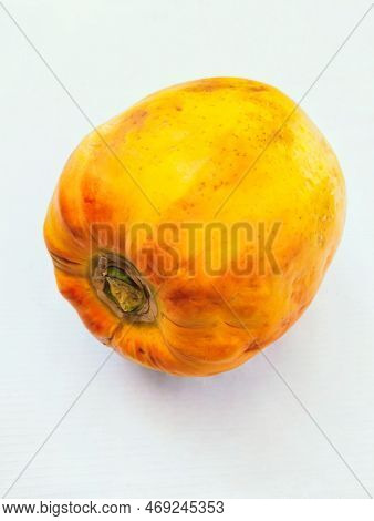 Papaya Single Papaw Or Pawpaw Carica-papaya Succulent Fruit Of A Plant Of Caricaceae Family Fresh Ri