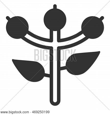 Cranberry - Icon, Illustration On White Background, Glyph Style
