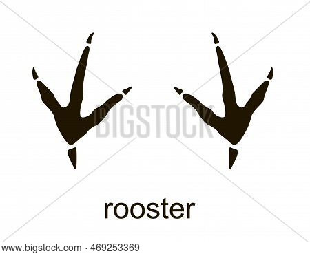 Rooster, Chicken Footprint. Cock Stamp. Chicken, Rooster Foot Print Track Icons Vector Set. Black An