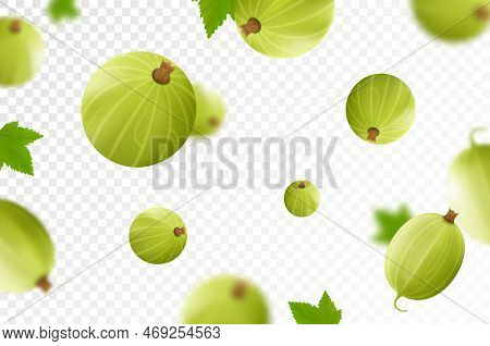 Flying Gooseberry, Isolated On Transparent Background. Flying Gooseberry With Blurry Defocused Effec