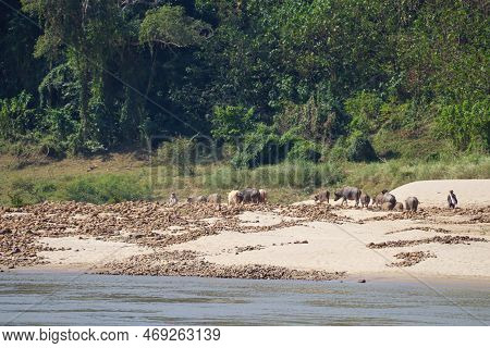 Impressions Of Laos In South East Asia