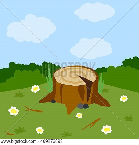 Stump In Forest Meadow. Green Field With Grass. Background For Child Drawing. Summer Nature. Funny S