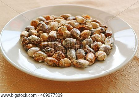 Plate Of Toasted Andean Chulpe Corn Kernel With Salt Call Cancha