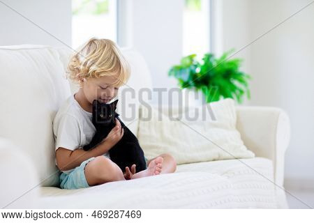 Child Playing With Baby Cat. Kid And Kitten.