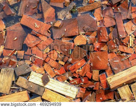 Close-up Photography Of Some Chunks Of Spanish Cedar Wood Covered In Rain Water, Captured In A Farm 
