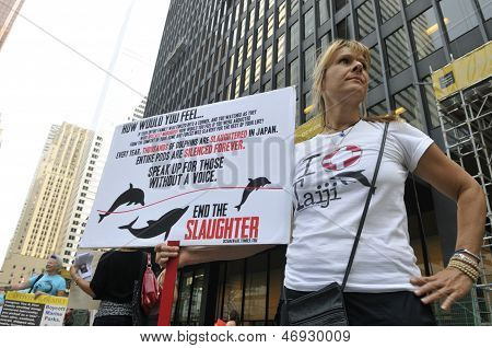 Dolphin Rally.