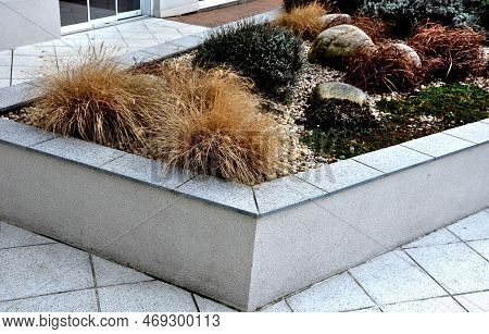 Perennial Beds With Ornamental Flowers And Grasses. Lightly Covered With Layer Of Fresh Snow. Textur