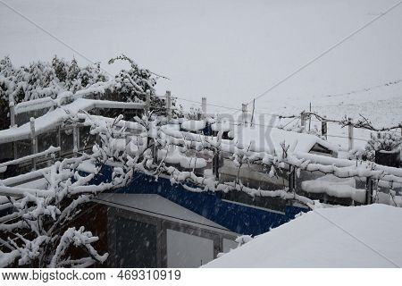 Fresh Snow On A Garden With Vine And Barn