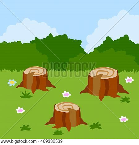 Stump In Forest Meadow. Green Field With Grass. Background For Child Drawing. Summer Nature. Funny S