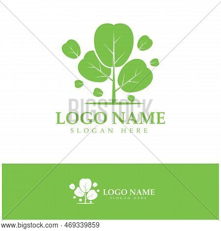 Green Moringa Leaf Logo, For Herbal Ingredients, Moringa Farming, Health, Medicine Industry, Beauty,