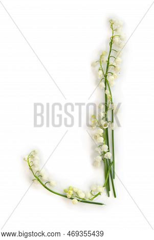 Letter J Of White Flowers Lily Of The Valley ( Convallaria ) On A White Background. Top View, Flat L