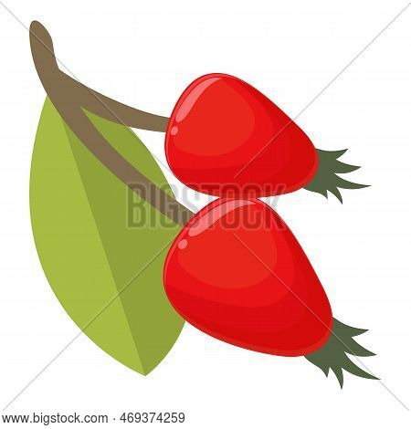 Berry Rosehip Icon Cartoon Vector. Forest Food. Organic Red