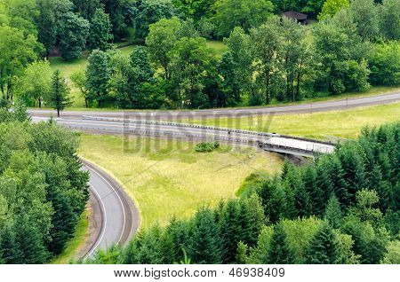 Grün und Autobahnkreuz
