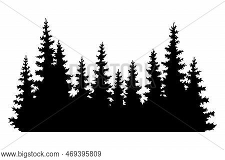 Fir Trees Silhouettes. Coniferous Spruce Horizontal Background Patterns, Black Evergreen Woods Vecto