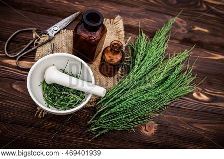 Apothecary Mortar With Dry Medicinal Herbs Horse Tail. Equisetum, Horsetail, Snake Grass, Oil For Co