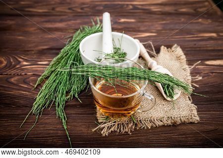 Cup Of Tea From Equisetum, Made From Fresh Potion, From Pharmacy Mortar. Horsetail, Snake Grass Infu