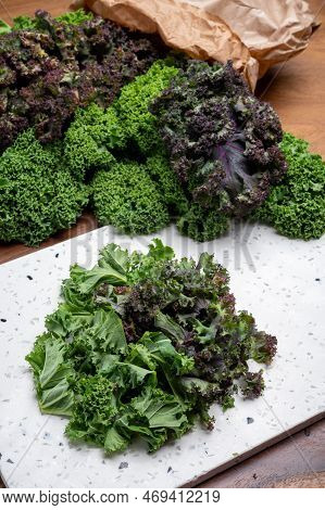 Vegetarian Food, Leaves Of Winter Vegetable Green And Purple Kale Cabbage Close Up