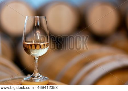 Tasting Of Rioja Wines, Visit Of Winery Cellars With French Or American Oak Barrels With Agening Red