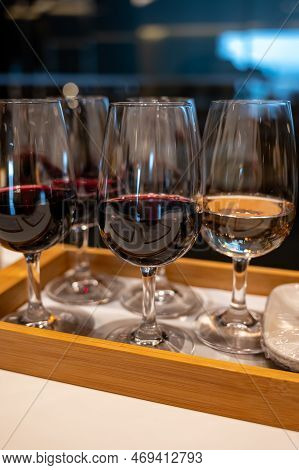 Tasting Of Rioja Wines, Visit Of Winery Cellars With French Or American Oak Barrels With Agening Red