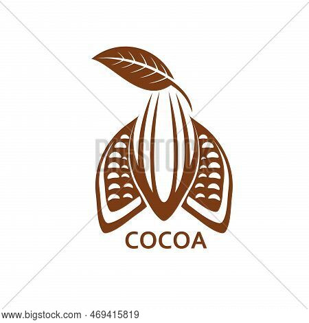 Cocoa, Chocolate Cacao Bean Icon For Choco Products Or Package, Isolated Vector. Cocoa Bean Or Cacao