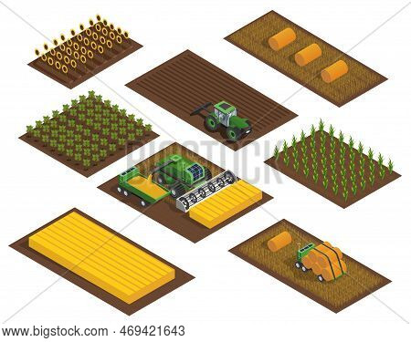 Work In Field Isometric Set. Collection Of Graphic Elements For Website. Countryside And Village. Te
