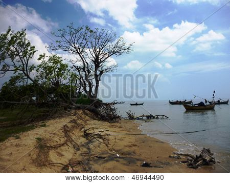wates bela praia
