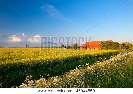 Farm, mulino a vento e campi di colza sotto un cielo blu
