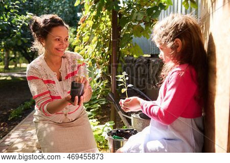 Happy Loving Mother And Lovely Daughter, Inspired Family Of Amateur Gardeners Farmers Agronomes, Hol