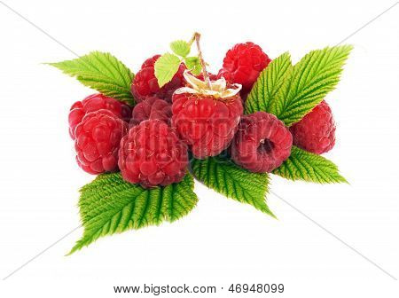 Raspberry