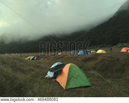 Tents Camping In The Savanna Of Gunung Gede Pangrango With A Forest Background And Falling Fog Kabut