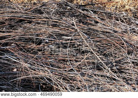 Heaps Of Scrap Wire On The Ground. Metal Fragments From Burnt Electrical Or Internet Cables Or Short