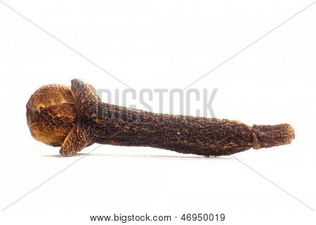 Single clove against white background