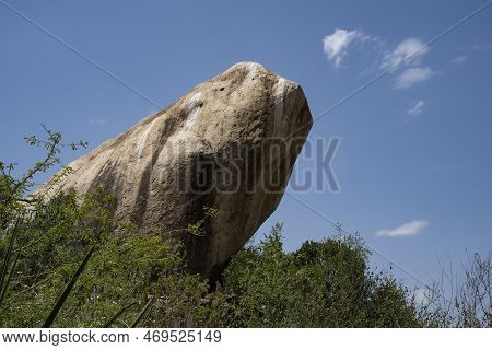 A Gigantic Rock, Towering Over Trees And Vegetation In The African Savanna In Tanzania.