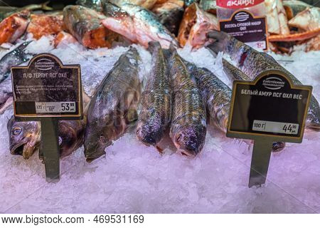 Balashikha, Russia - January 20, 2023: Globus Hypermarket. Trading Counter With Chilled Fish. Transl