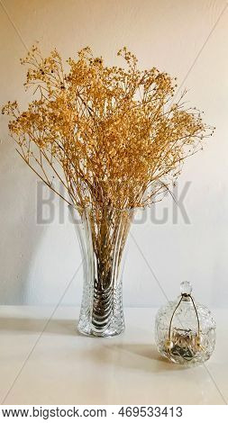 Glass Vase With Dry And Very Beautiful Decorative Plant In A Clean Environment
