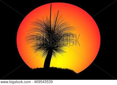 Silhouette Of Xanthorrhoea Or Black Boy Tree At Sunset With Large Orange Moon In The Background. Vec