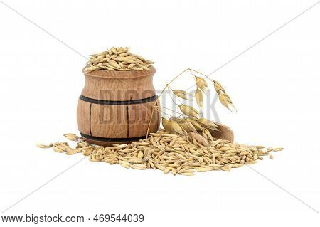 Heap Of Organic Oat Grains With Hulls Or Husks In Small Wooden Barrel Isolated On White Background. 