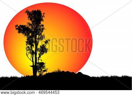 Silhouette Of A Tree At Sunset, Vector Art Illustration.