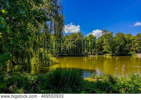 Beautiful Summer Landscape With A Pond Saski Garden Warsaw Poland Green Trees Warm Day