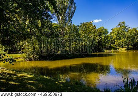 Beautiful Summer Landscape With A Pond Saski Garden Warsaw Poland Green Trees Warm Day