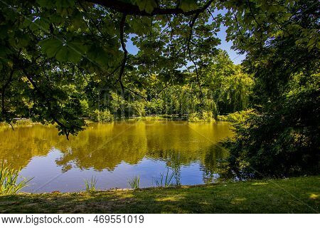 Beautiful Summer Landscape With A Pond Saski Garden Warsaw Poland Green Trees Warm Day
