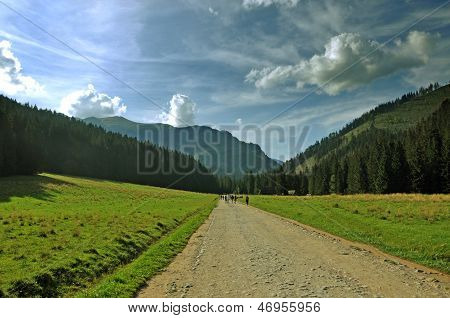 Vej i Tatras, Zakopane, Dolina Koscieliska, Polen