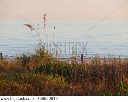Sea Oats And Ocean Landscape Sanibel Island Florida