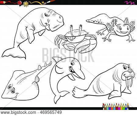 Black And White Cartoon Illustration Of Marine Animal Characters Set Coloring Page