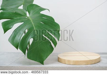 Wood Podium On Table Top Green Monstera Tropical Plant White Space Background.promotion Beauty Cosme