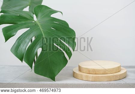 Wood Podium On Table Top Green Monstera Tropical Plant White Space Background.promotion Beauty Cosme