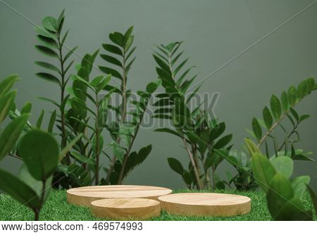 Empty Table Top Wood Counter Podium On Grass Tropic Forest Jungle Plant Blurred Dark Green Backgroun