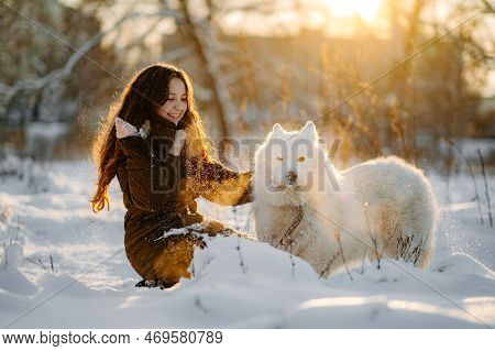 Winter Walk With Your Favorite Samoyed Pet. Love For Dogs. Walking The Dog In Anticipation Of Christ